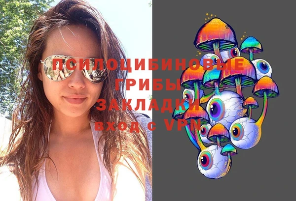 дмт Балахна