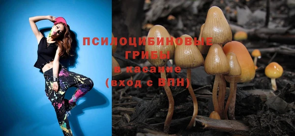 дмт Балахна