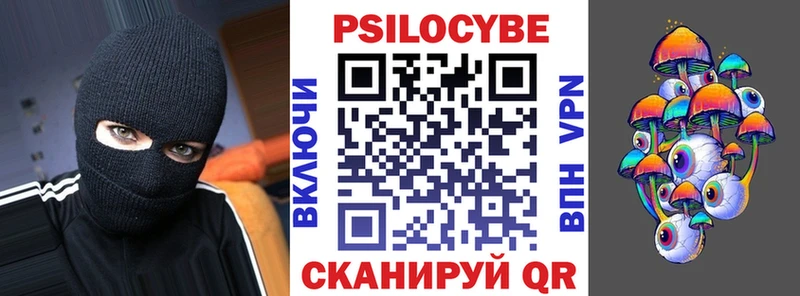 Псилоцибиновые грибы Psilocybe  как найти закладки  Сафоново 